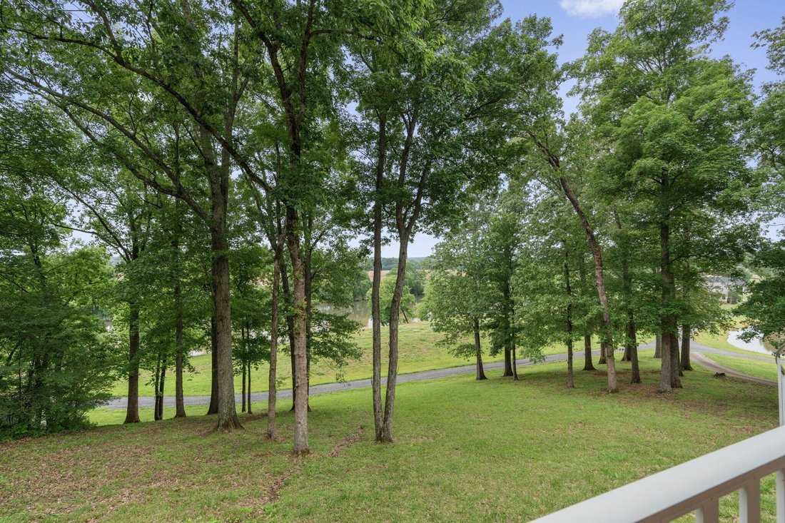 House in Riceville, Tennessee, United States 4 - 18264714