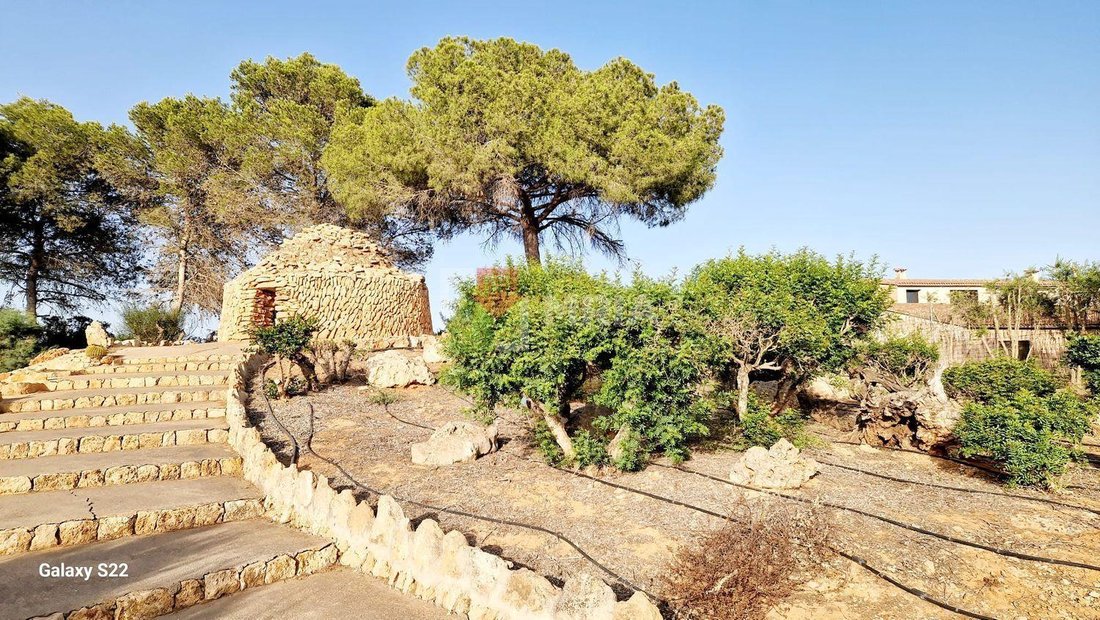Land in ses Salines, Balearic Islands, Spain 3 - 18241850
