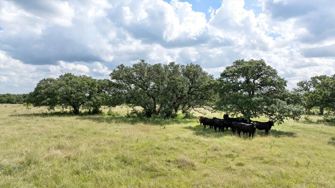Land in Hico, Texas, United States 3 - 17244273