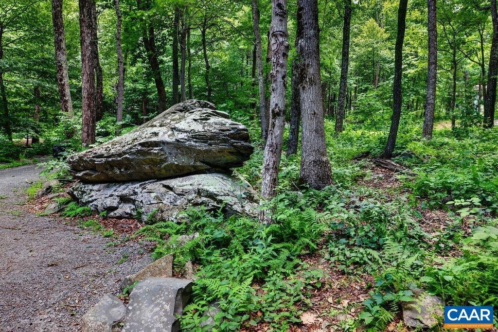 House in Beech Grove, Virginia, United States 5 - 18265551
