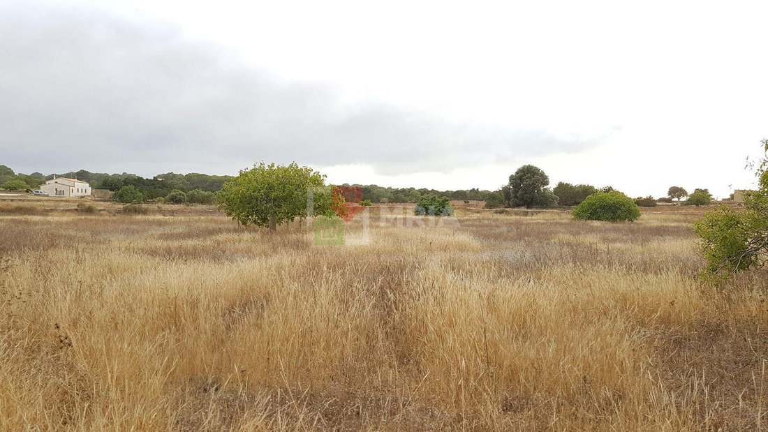 Land in Formentera, Balearic Islands, Spain 2 - 18241817