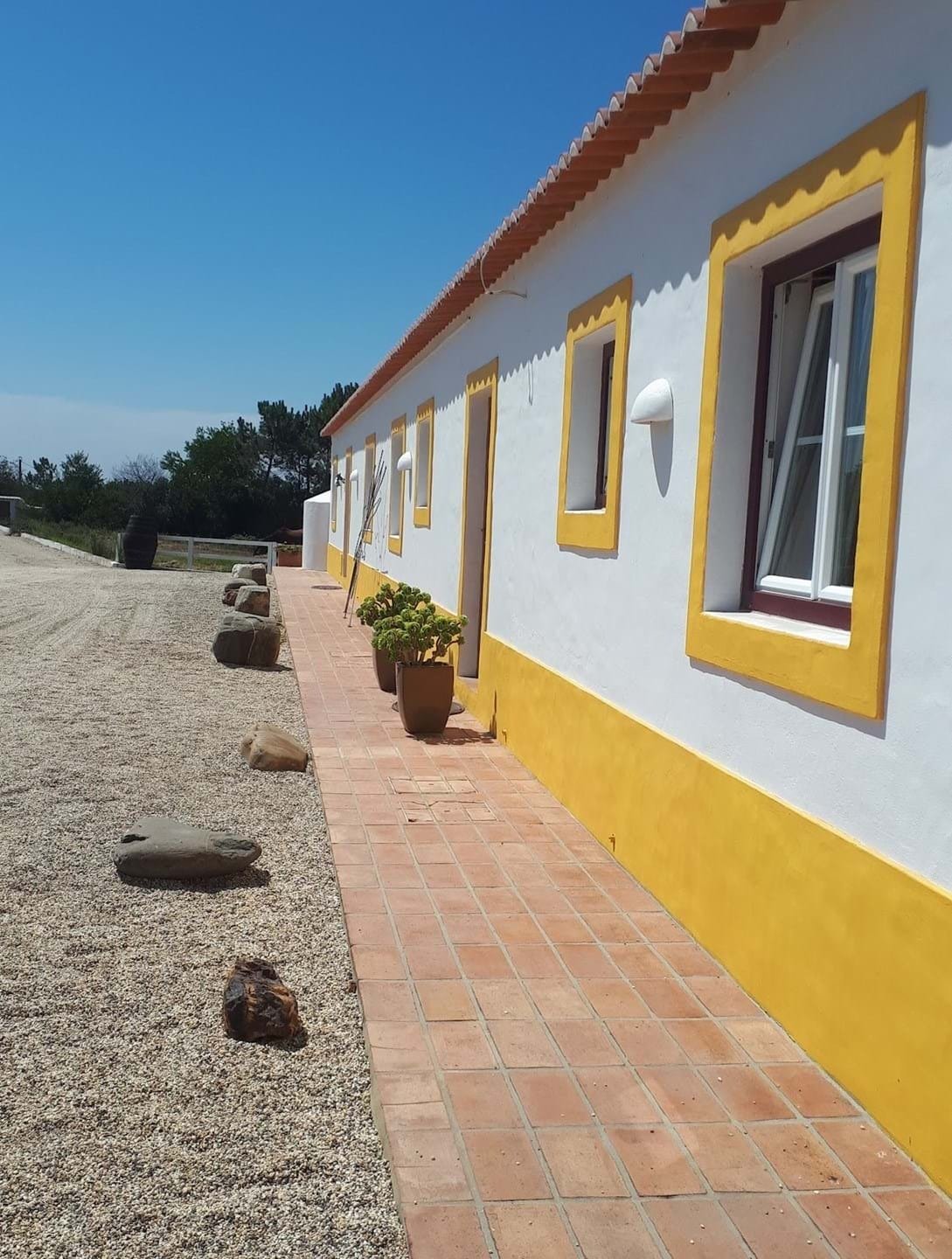 Farm Ranch in S.Teotónio, Beja District, Portugal 4 - 18261497