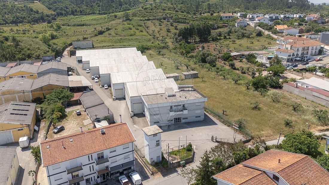 Apartment in Eiras e Sao Paulo de Frades, Coimbra District, Portugal 5 - 18260434