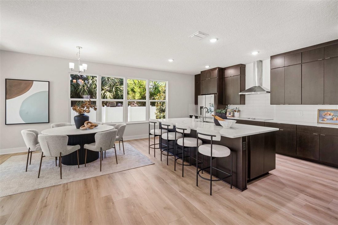 House in Tampa, Florida, United States 5 - 17181430
