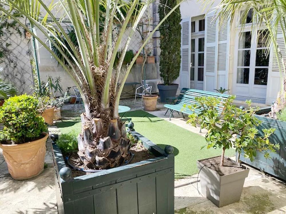 Apartment in Avignon, Provence-Alpes-Côte d'Azur, France 4 - 18262233