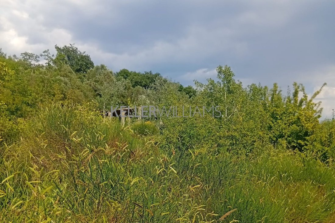 Land in Penna in Teverina, Umbria, Italy 5 - 18263029