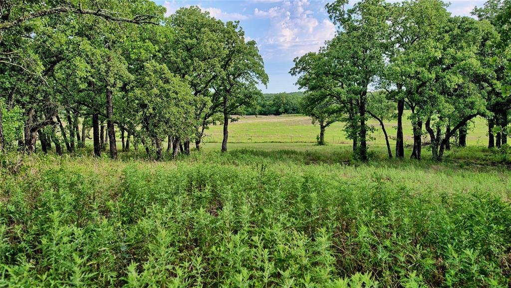 House in Nocona, Texas, United States 5 - 18261270