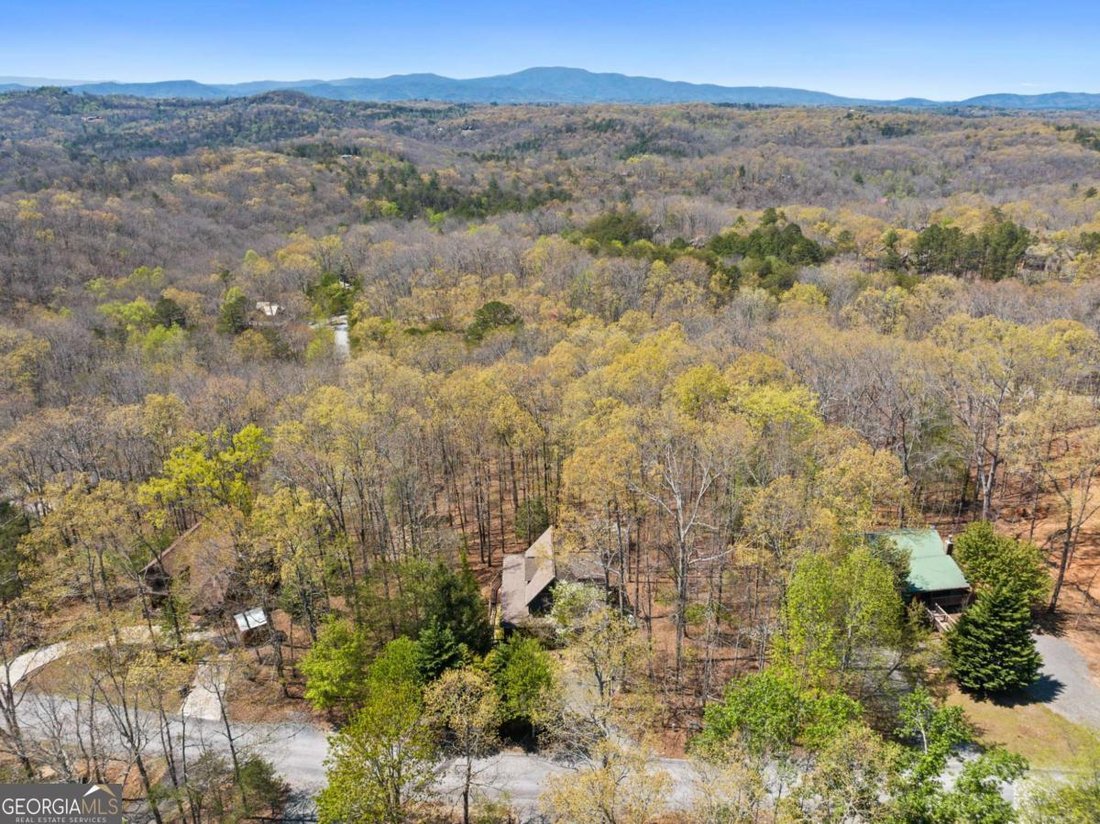 House in Mineral Bluff, Georgia, United States 5 - 18261159