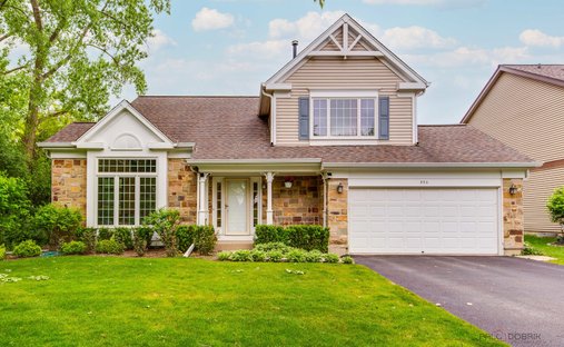Maison à Buffalo Grove, Illinois, États-Unis 1