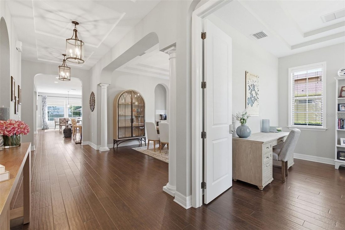 House in Lutz, Florida, United States 5 - 18264377