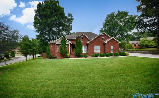 House in Madison, Alabama, United States 1