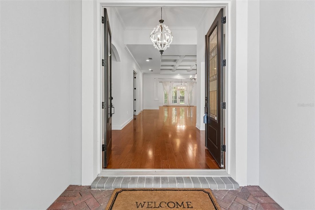 House in Tampa, Florida, United States 4 - 18260894