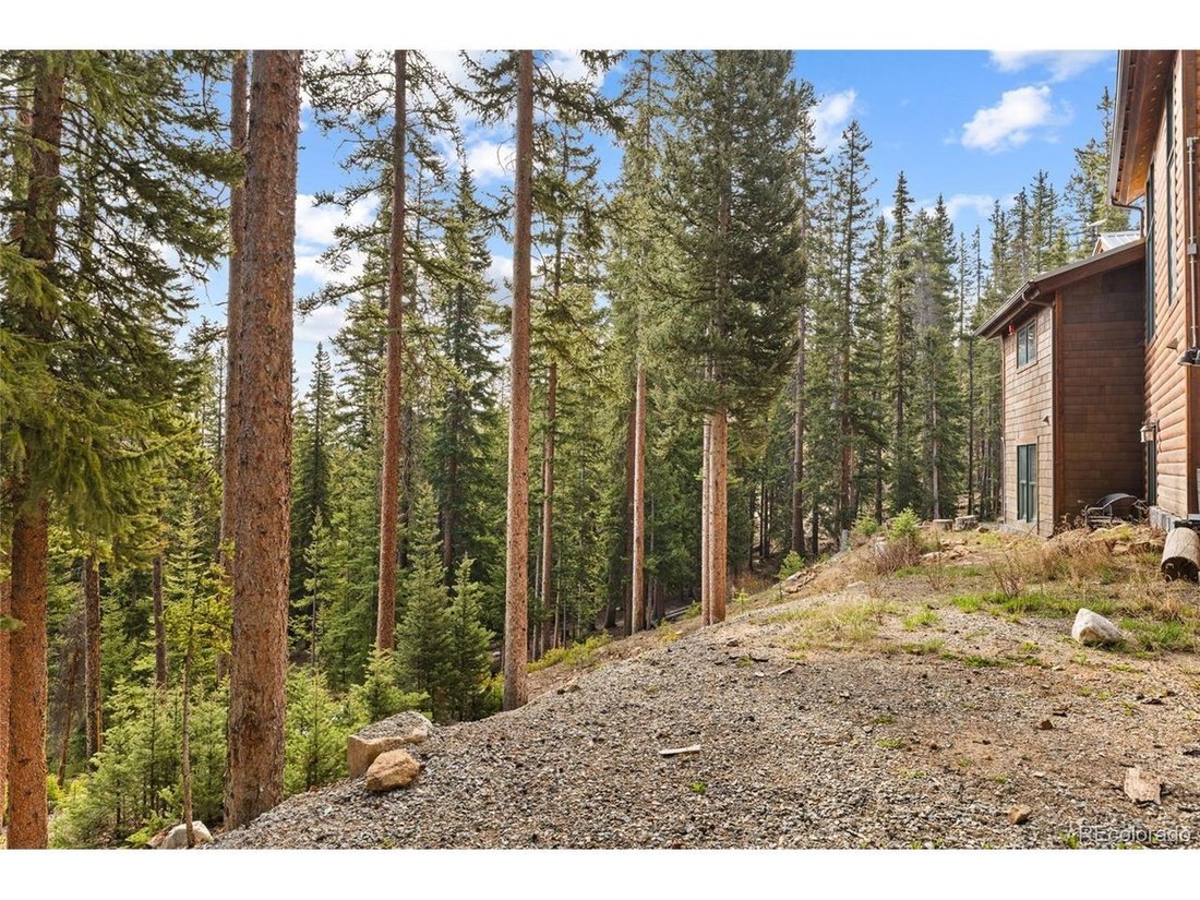 House in Fairplay, Colorado, United States 4 - 18264098