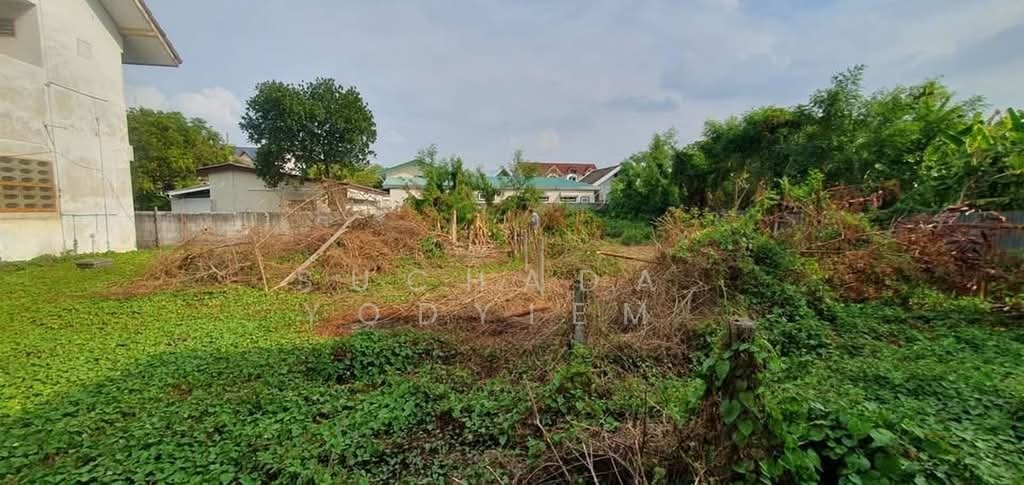 House in Bangkok, Krung Thep Maha Nakhon, Thailand 4 - 18262271
