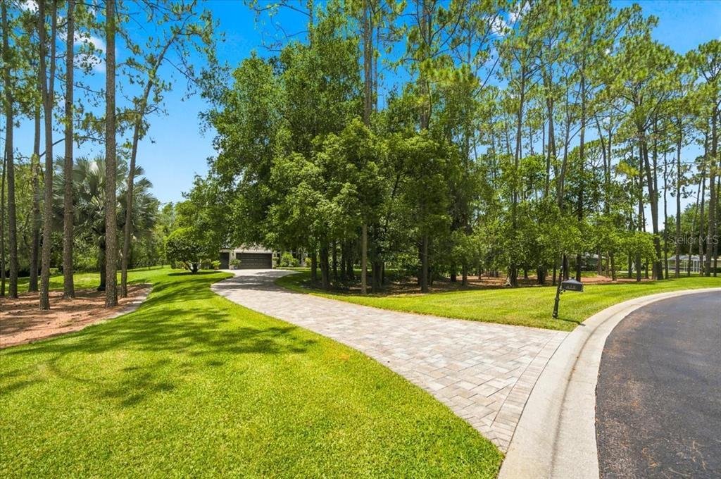 House in Lutz, Florida, United States 4 - 18262884