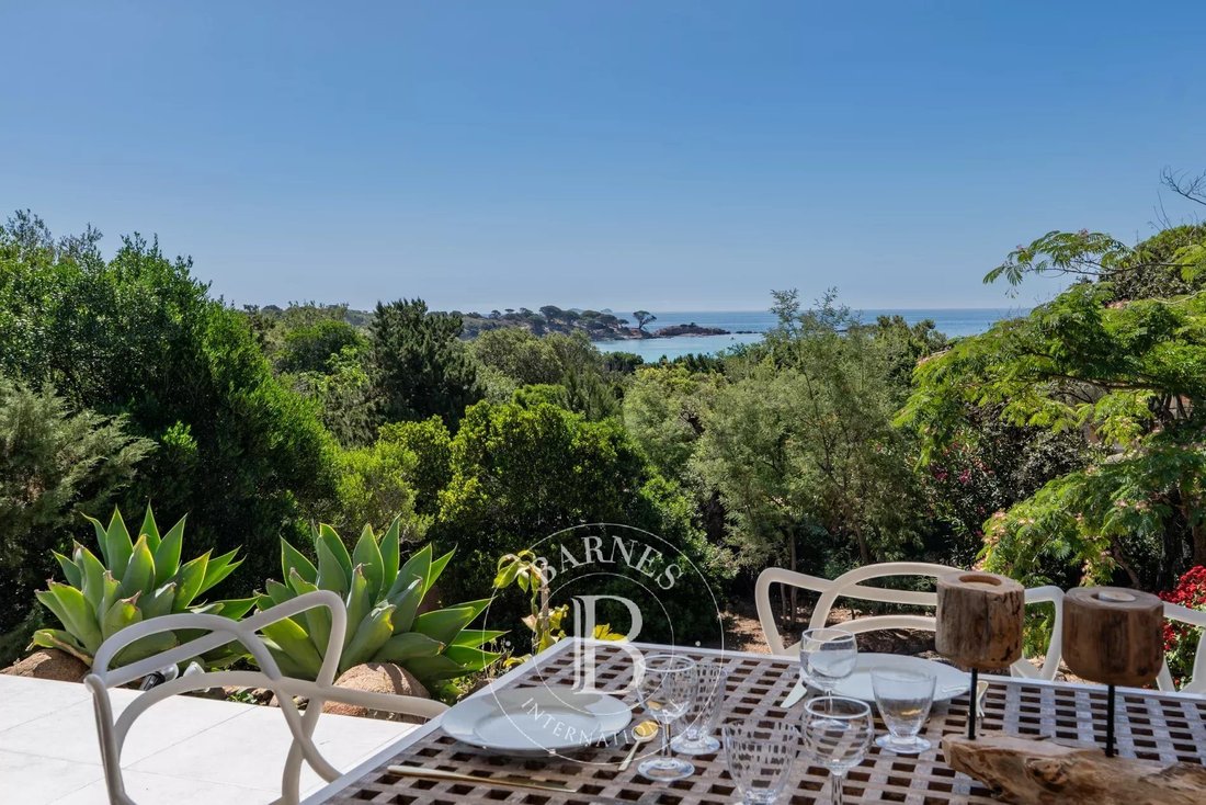 Villa in Porto-Vecchio, Corsica, France 5 - 16052934