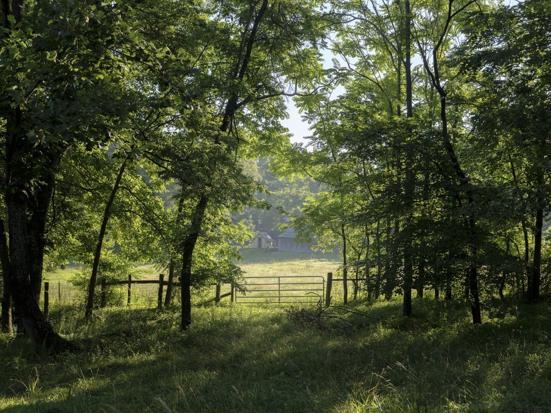 House in Primm Springs, Tennessee, United States 4 - 16790585