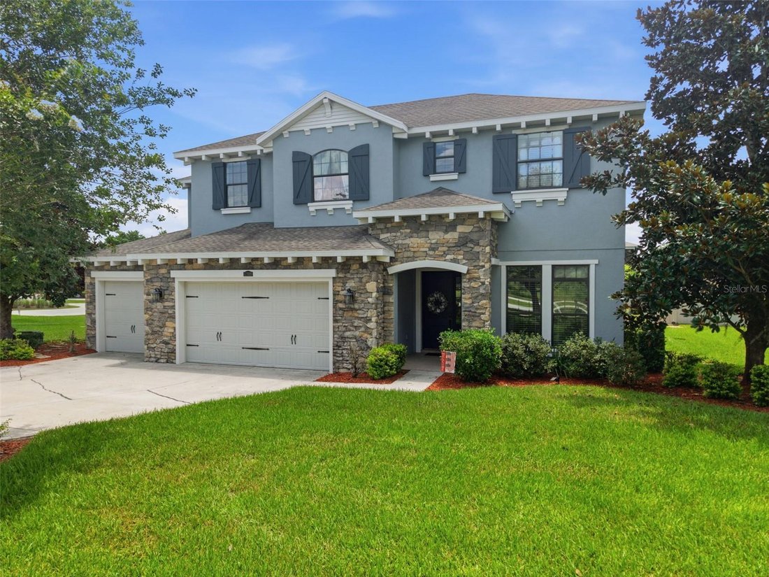 House in Lutz, Florida, United States 1 - 18264377