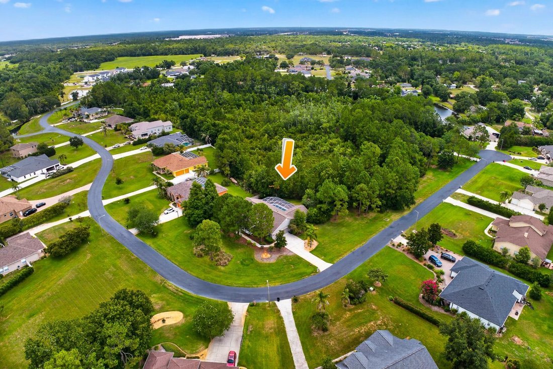 House in Wesley Chapel, Florida, United States 2 - 18264292