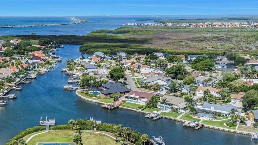House in Tampa, Florida, United States 2 - 18264298