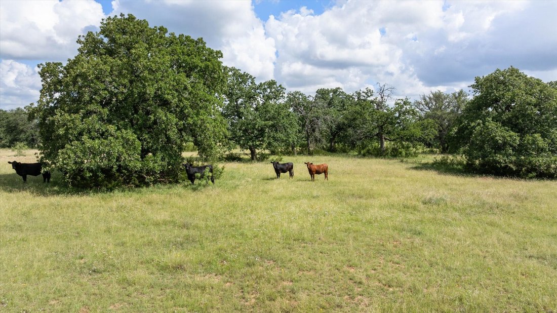 Land in Hico, Texas, United States 4 - 17244273