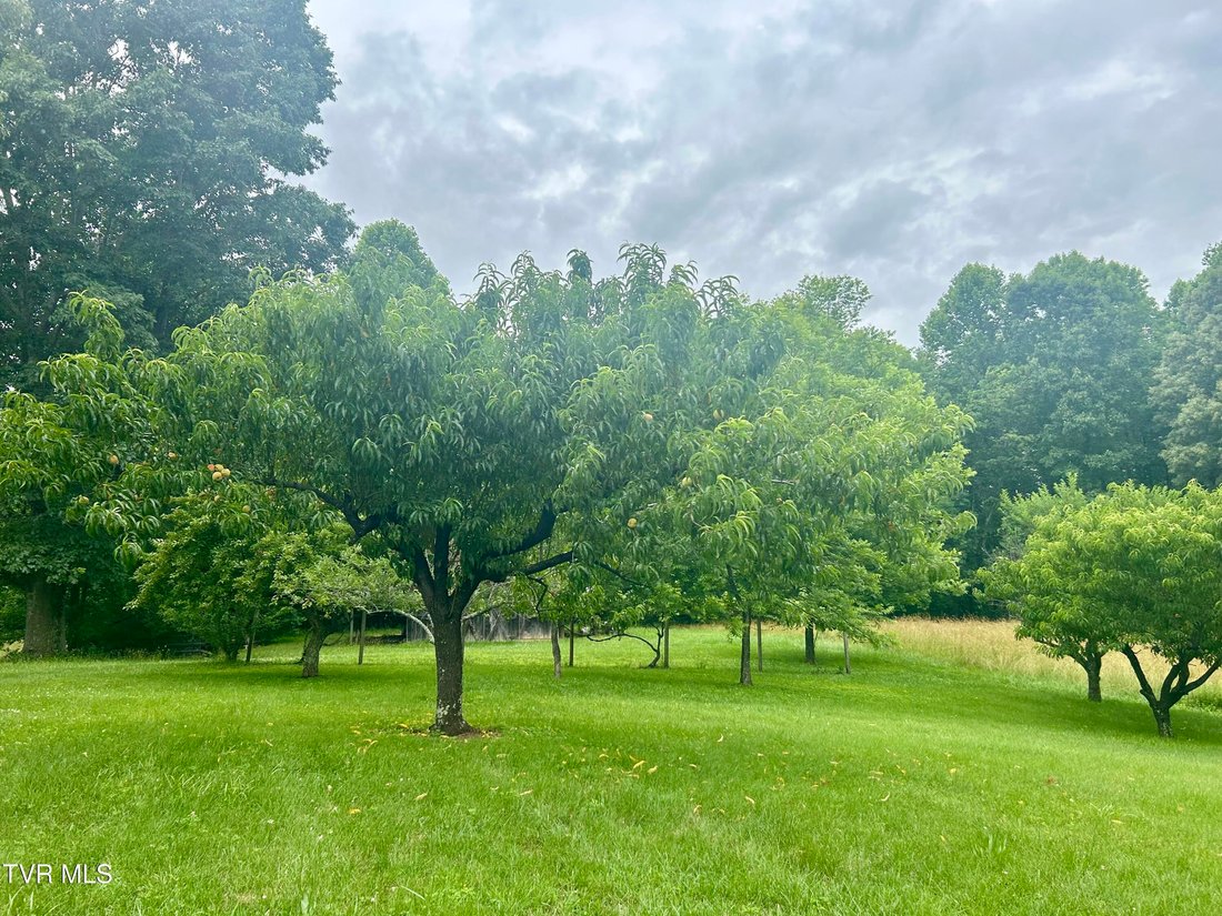 House in Jonesborough, Tennessee, United States 4 - 17791149
