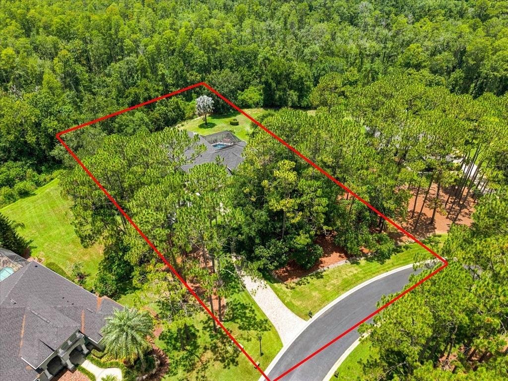 House in Lutz, Florida, United States 2 - 18262884