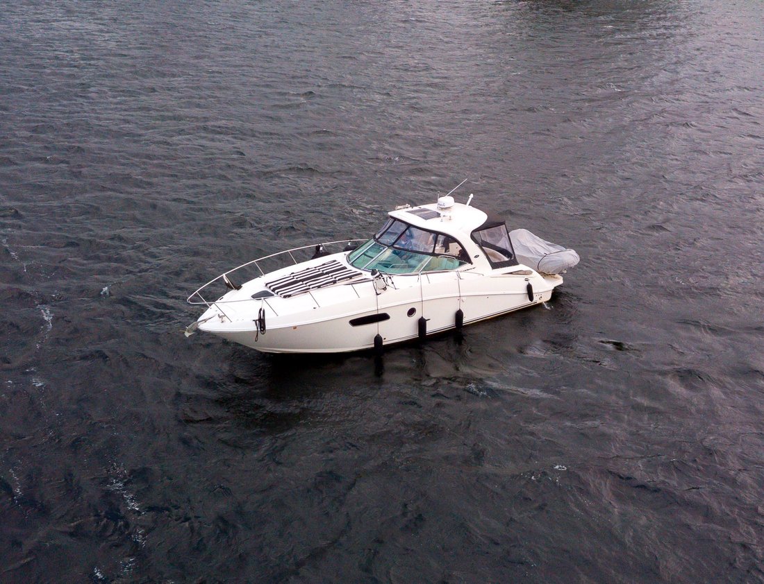 Cruiser in United States 3 - 18262078