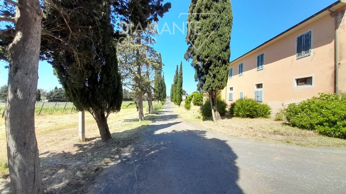Farm Ranch in Montescudaio, Tuscany, Italy 4 - 18266244