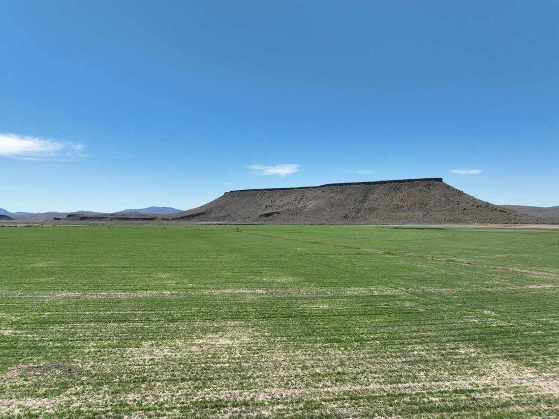 Land in New Princeton, Oregon, United States 2 - 18265852