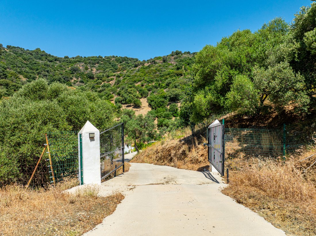 Finca in Casares, Andalusia, Spain 3 - 18266279