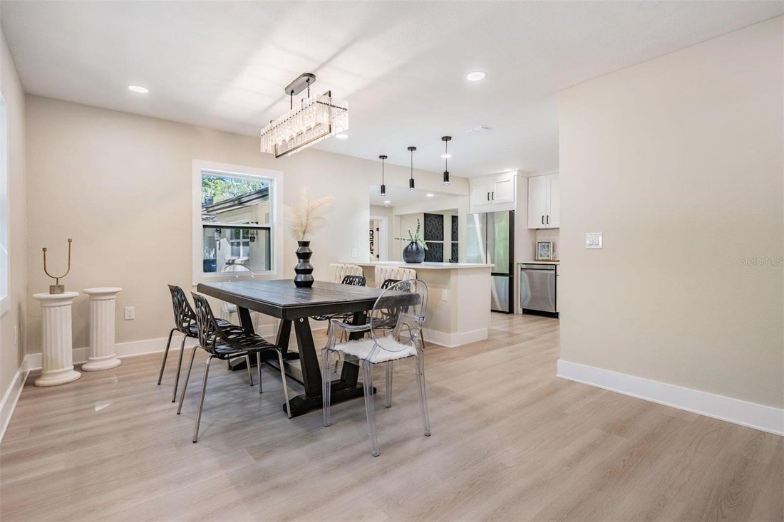 House in Tampa, Florida, United States 4 - 18264302