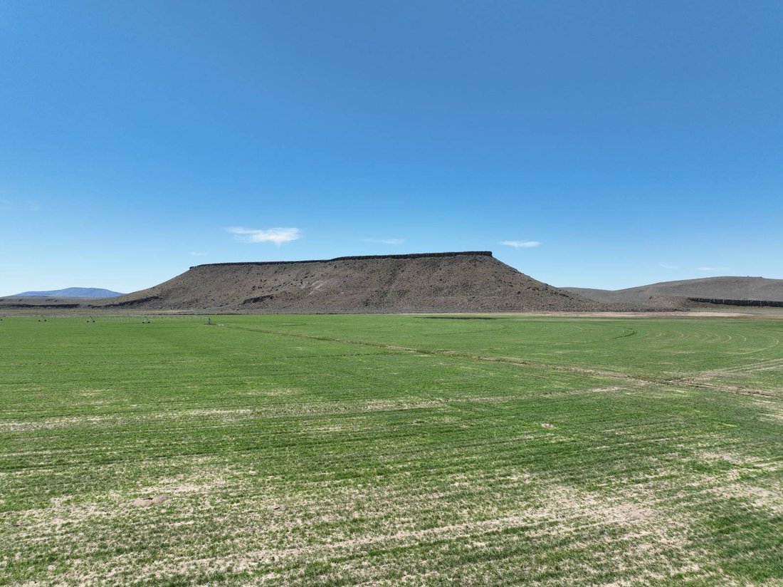 Land in New Princeton, Oregon, United States 3 - 18265852