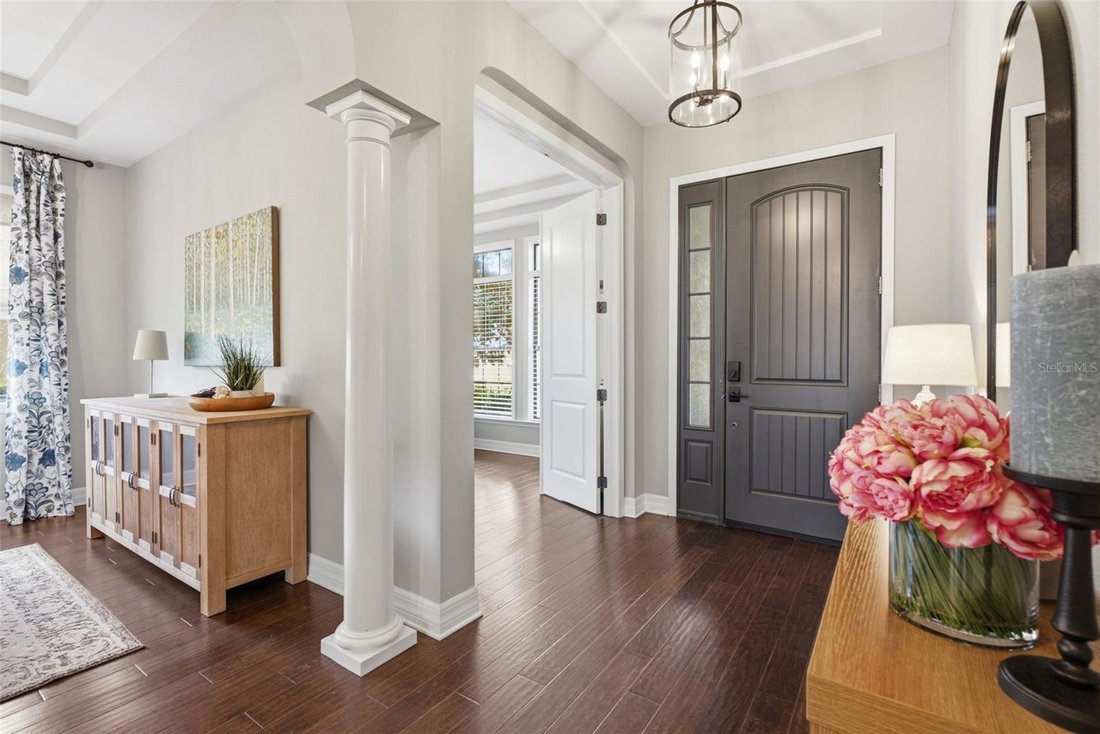 House in Lutz, Florida, United States 3 - 18264377