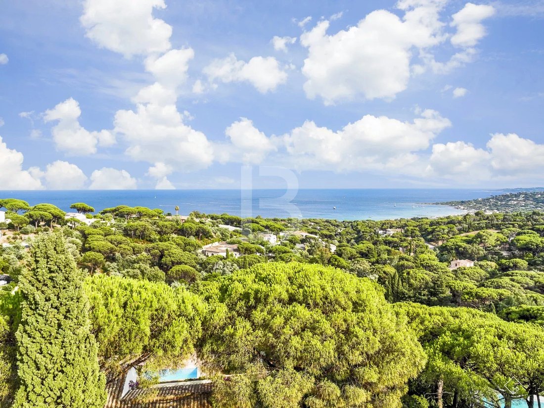 Villa in Nartelle-Noyer-Bellevue-bd des Sardinaux, Sainte-Maxime, France 4 - 18261978