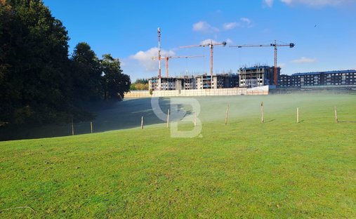 Land in Osorno, Los Lagos, Chile 1