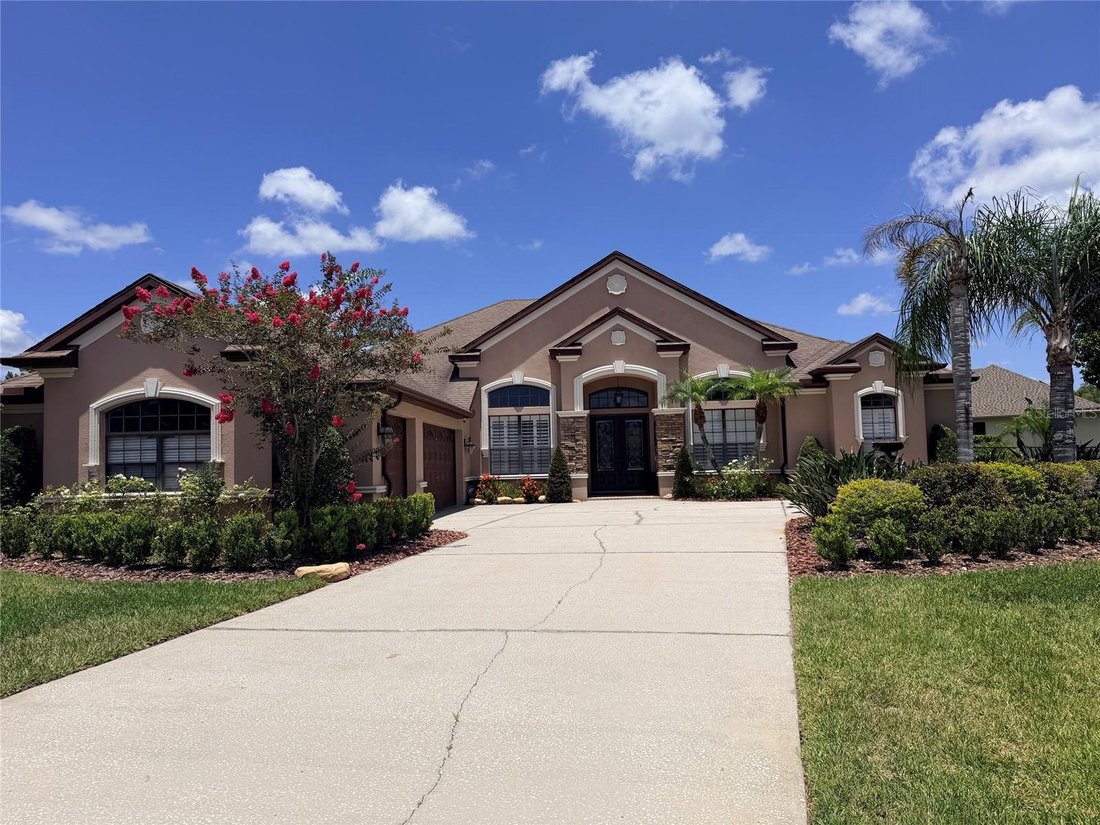 House in Odessa, Florida, United States 1 - 18244965