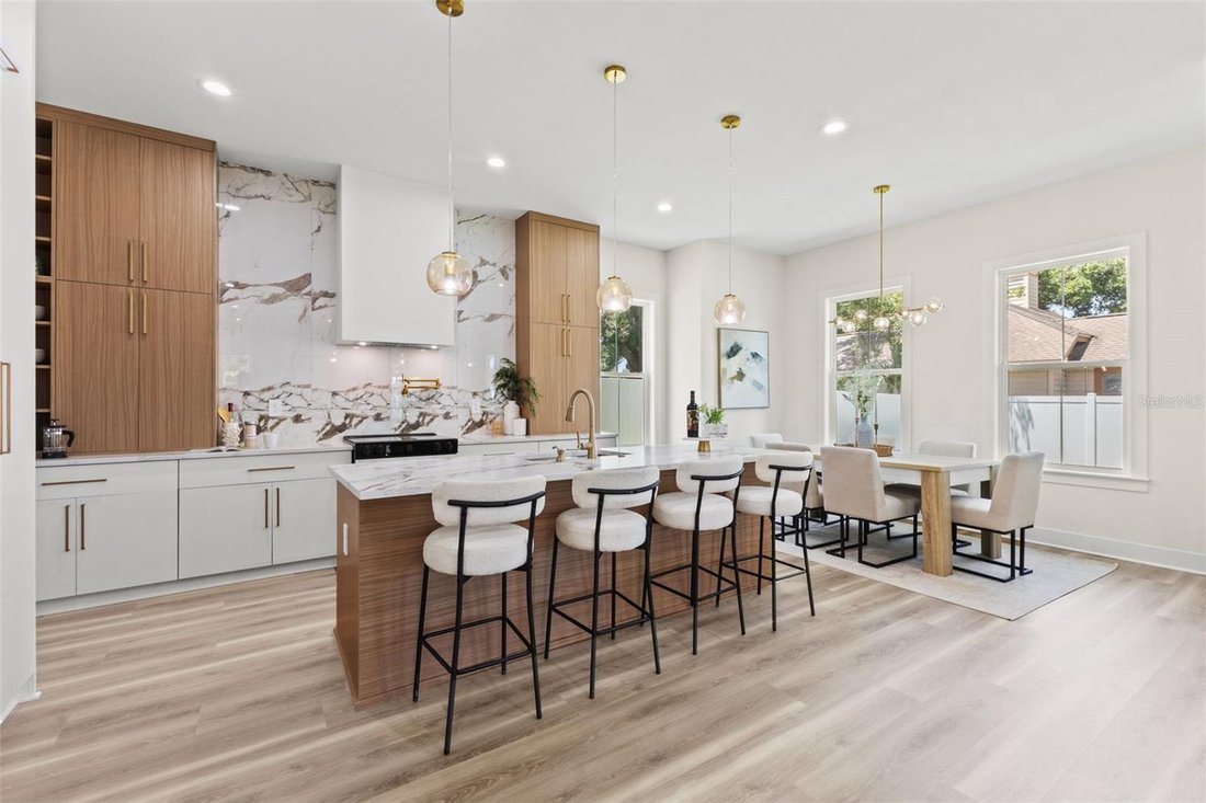 House in Seminole, Florida, United States 4 - 17809019
