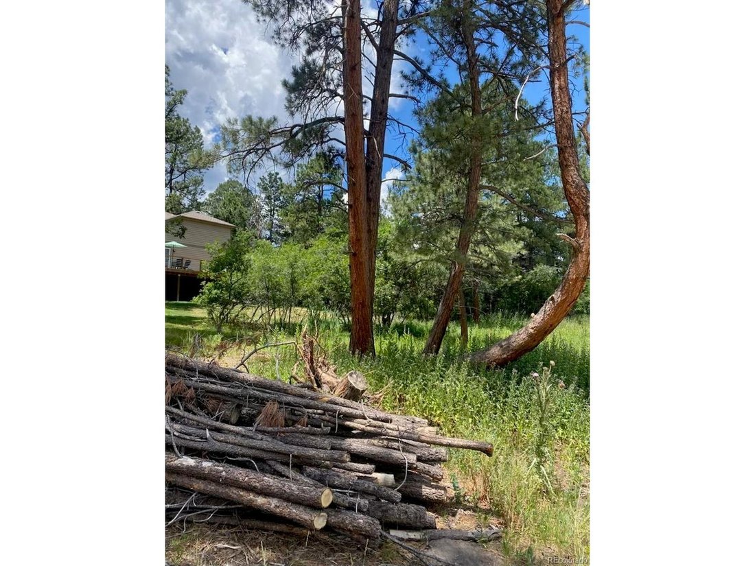 House in Larkspur, Colorado, United States 5 - 18264099