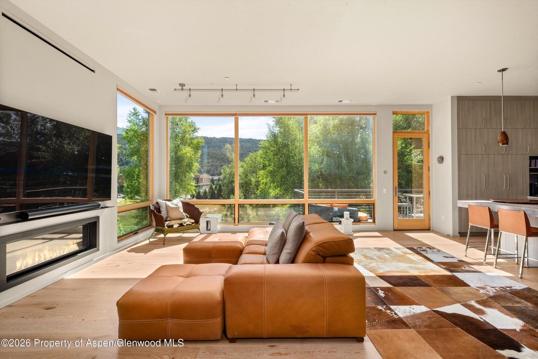 Condo in El Jebel, Colorado, United States 4 - 18263009