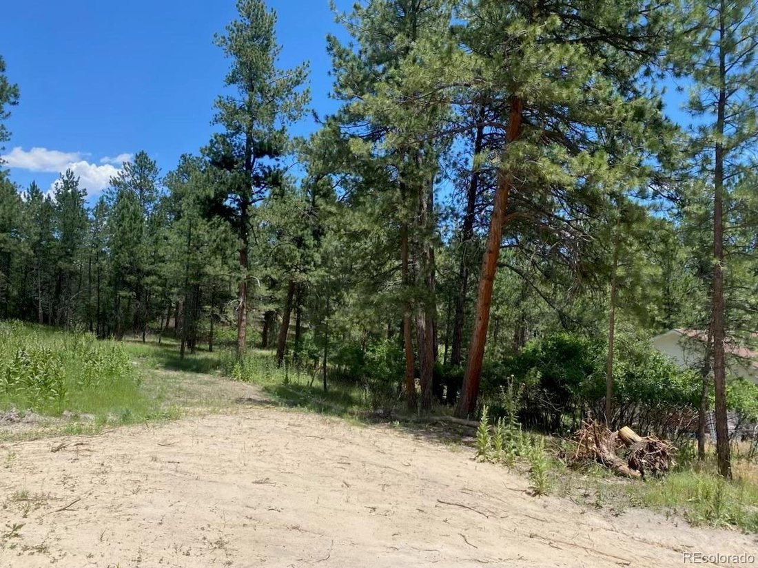 House in Larkspur, Colorado, United States 1 - 18264099