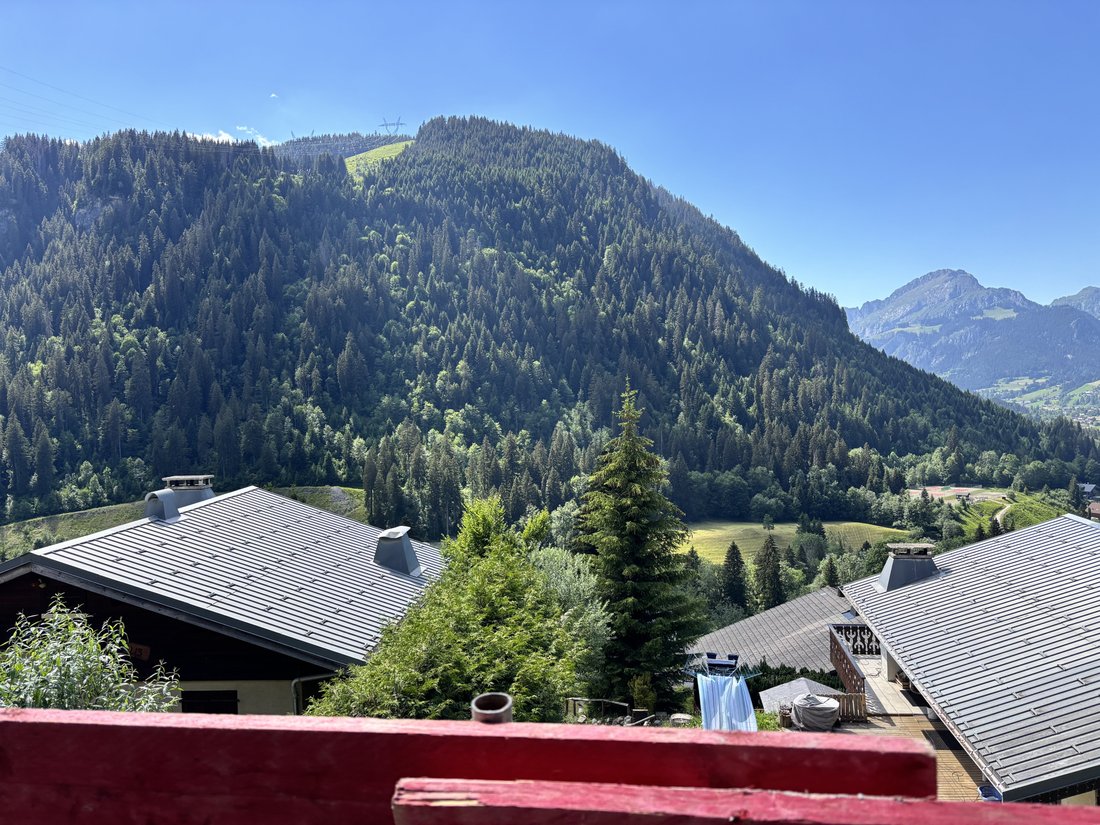 Apartment in Châtel, Auvergne-Rhône-Alpes, France 2 - 18261092