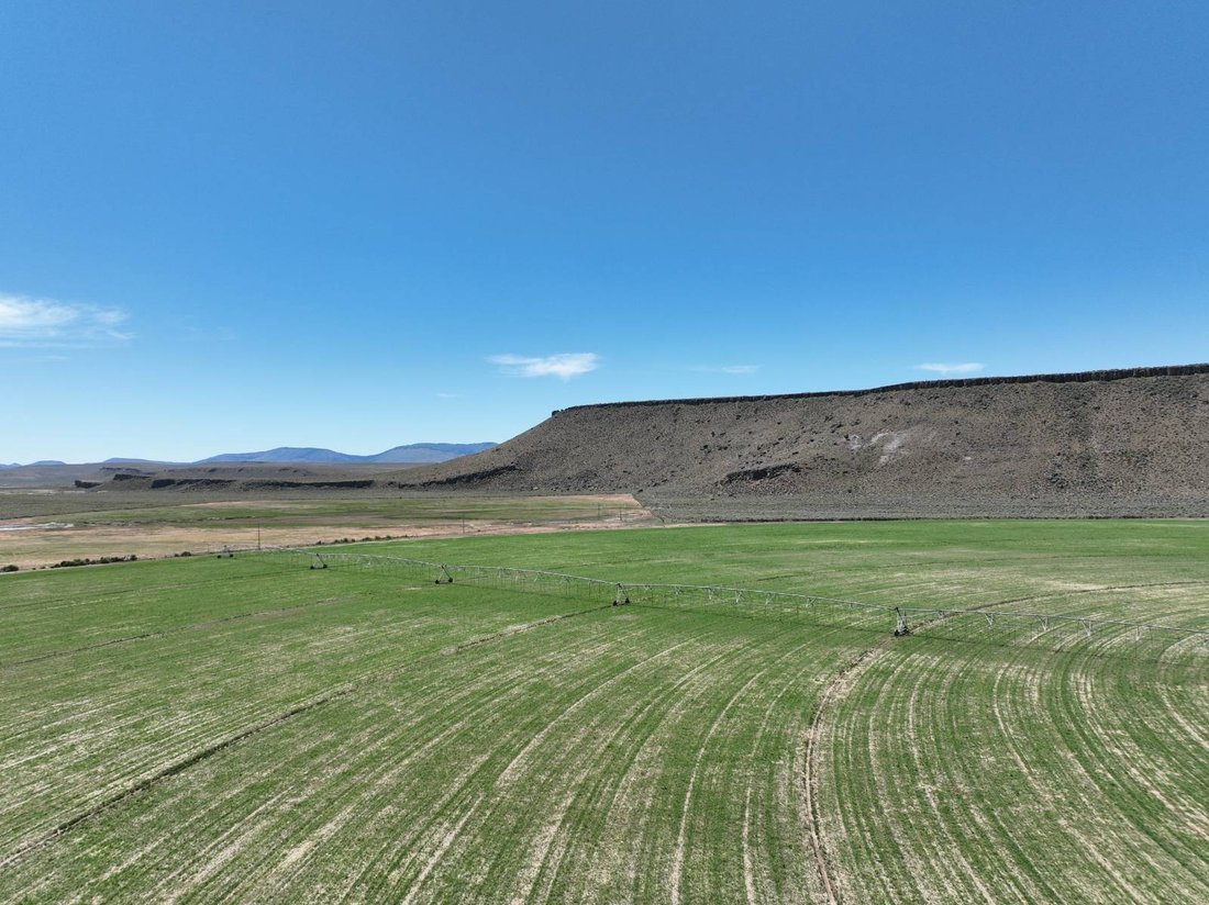 Land in New Princeton, Oregon, United States 5 - 18265852
