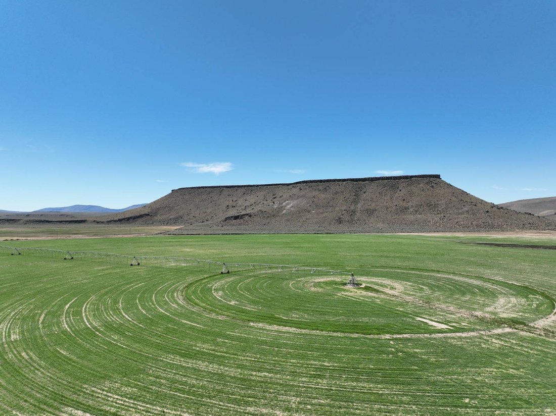Land in New Princeton, Oregon, United States 4 - 18265852