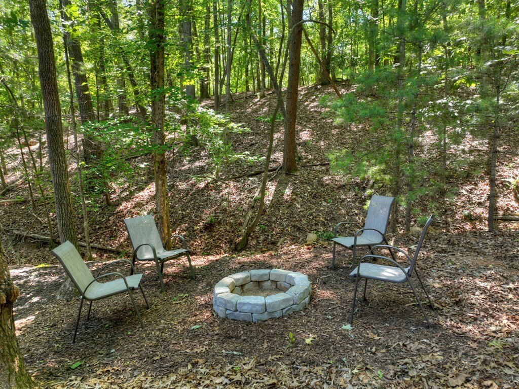 House in Morganton, Georgia, United States 4 - 18263352