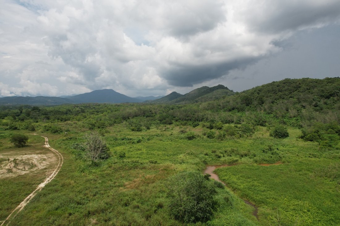 Titi, Negeri Sembilan, Malaysia 5 - 18260761