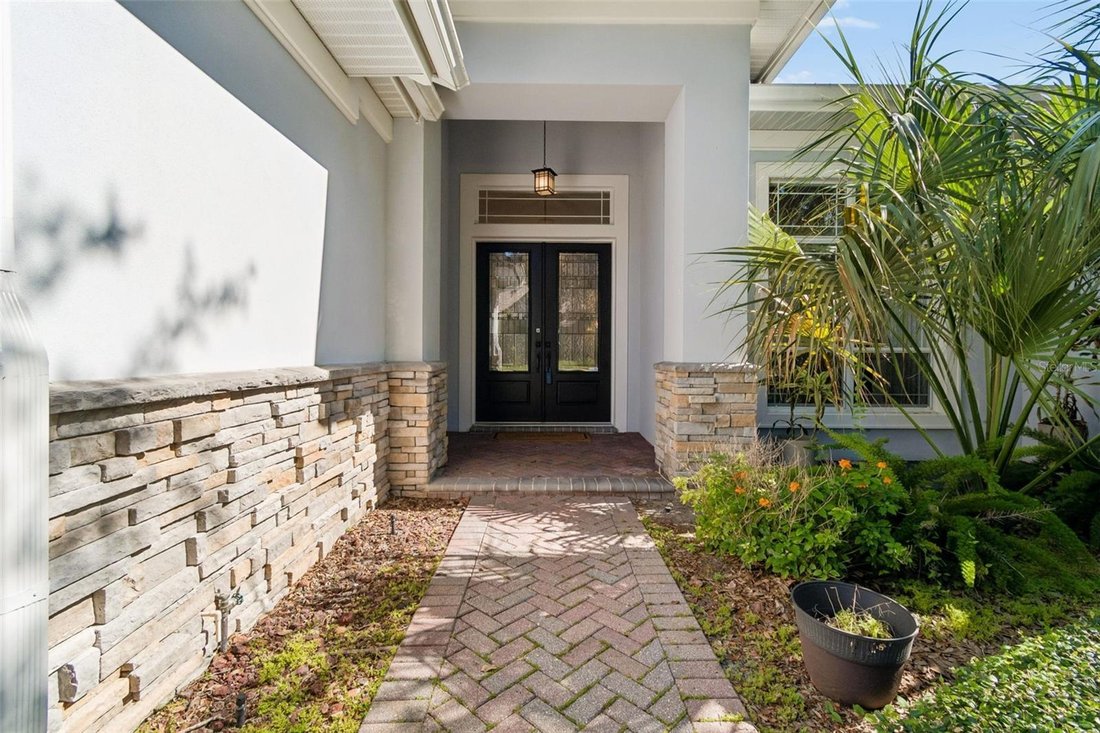 House in Tampa, Florida, United States 3 - 18260894
