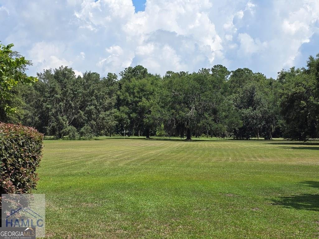 House in Riceboro, Georgia, United States 2 - 18264955