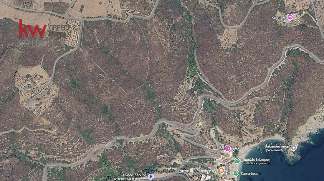 Land in Kymi - Aliveri Anna, Thessaly and Central Greece, Greece 4 - 18265329