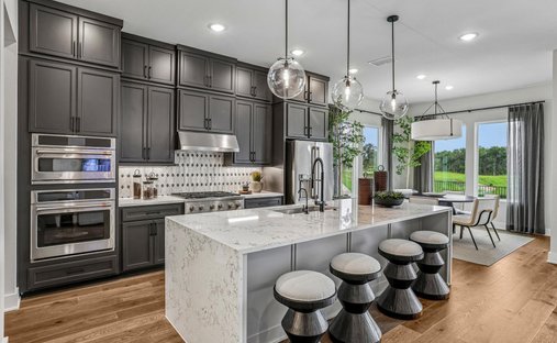 House in Georgetown, Texas, United States 1